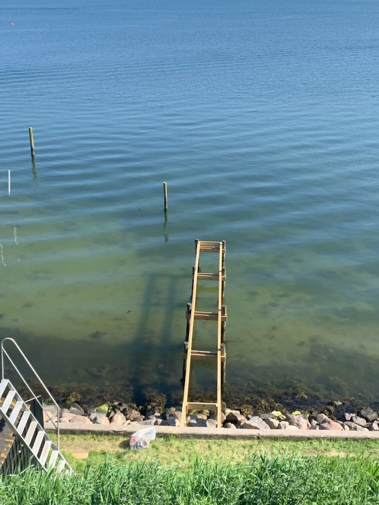 Opretning af badebro og tildannelse af bærende vandrette vanger.
